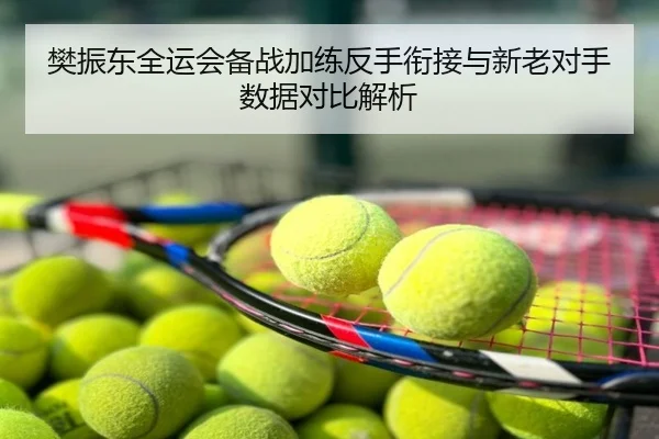 樊振东全运会备战加练反手衔接与新老对手数据对比解析