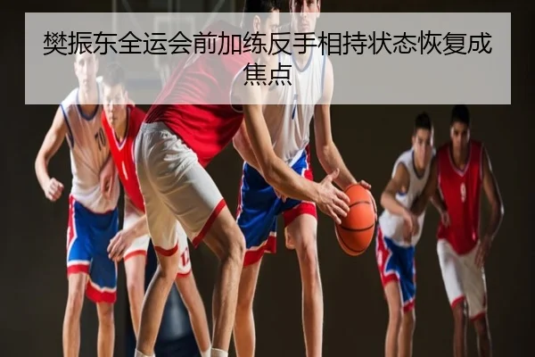 樊振东全运会前加练反手相持状态恢复成焦点